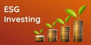 How does ESG Investing Work for Beginners